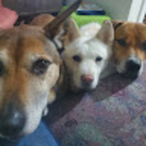 Meet your Posher, Jo